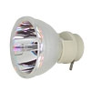 Ampoule OPTOMA - EW635 - PB7870