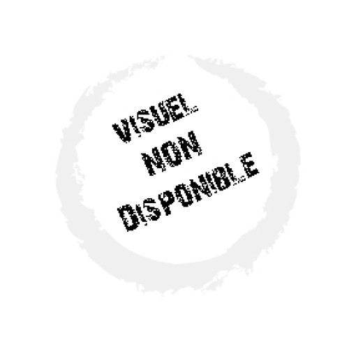 Filtre de remplacement pour SANYO - PLC-XU300 - 6103431581