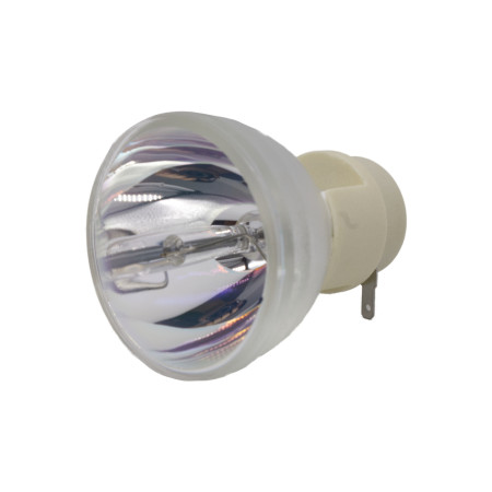 Ampoule pour OPTOMA - EX550ST (Compatible)